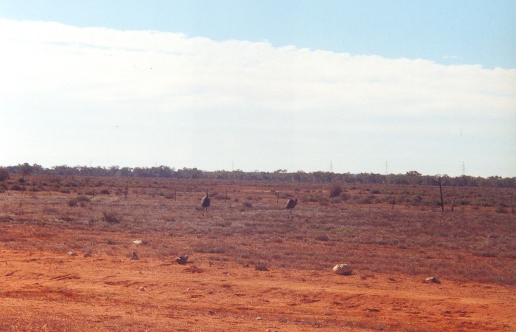 reisebericht-australien-1999-06.jpeg