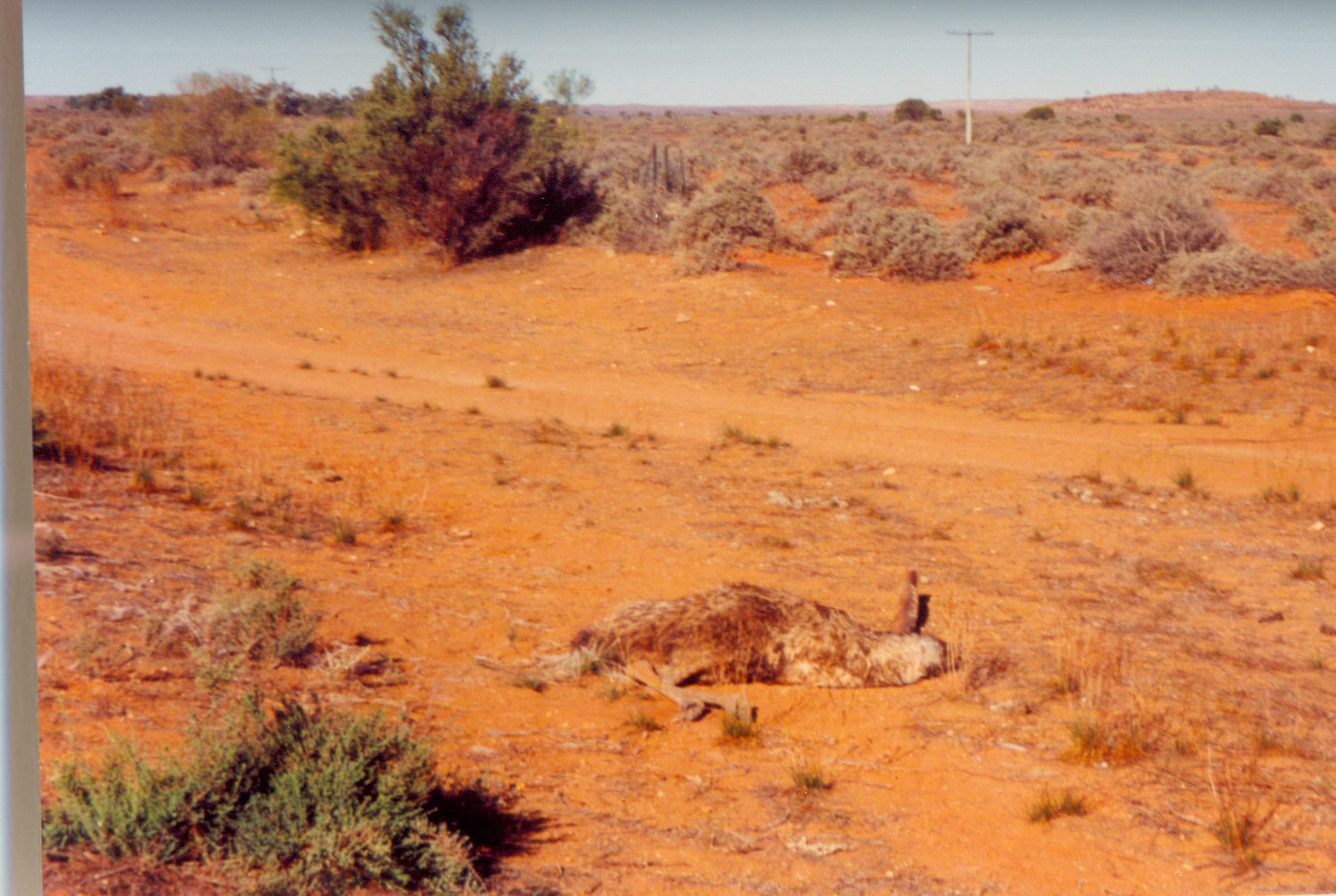 reisebericht-australien-1999-07.jpeg