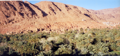 reisebericht-marokko-2003-03.png
