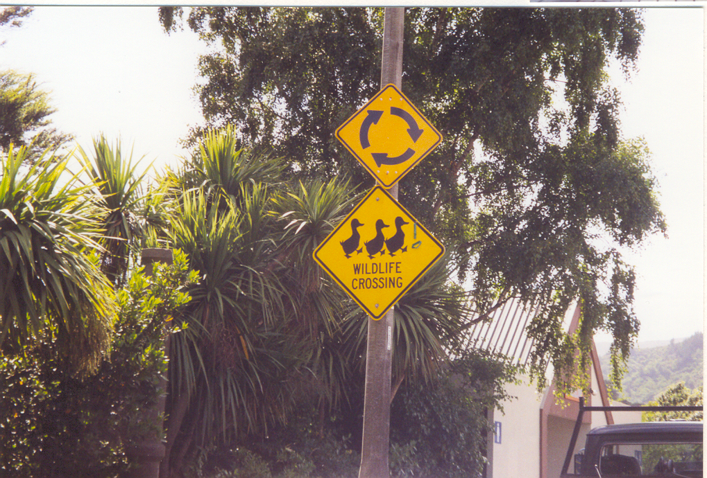 reisebericht-neuseeland-2000-11.png